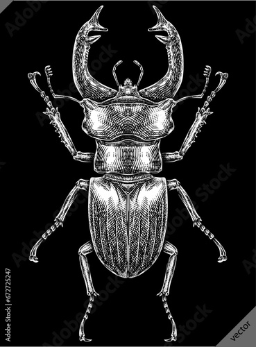 Engrave isolated stag beetle hand drawn vector graphic illustration