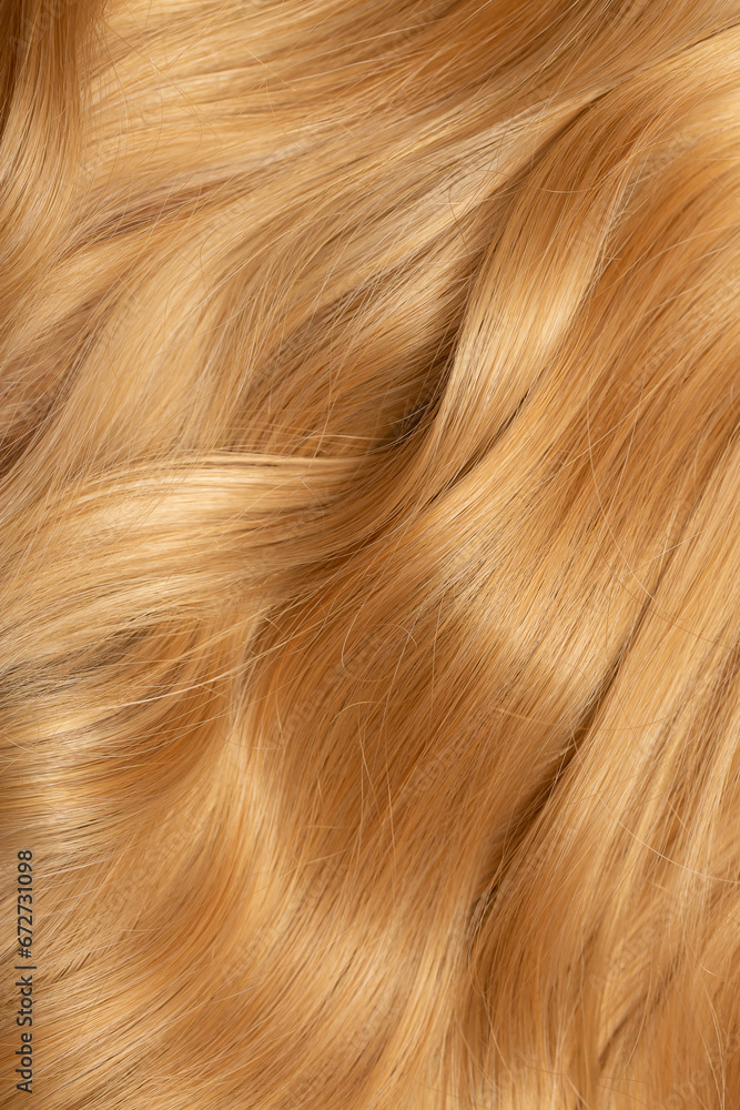 Obraz premium Blond hair close-up as a background. Women's long blonde hair. Beautifully styled wavy shiny curls. Hair coloring. Hairdressing procedures, extension.