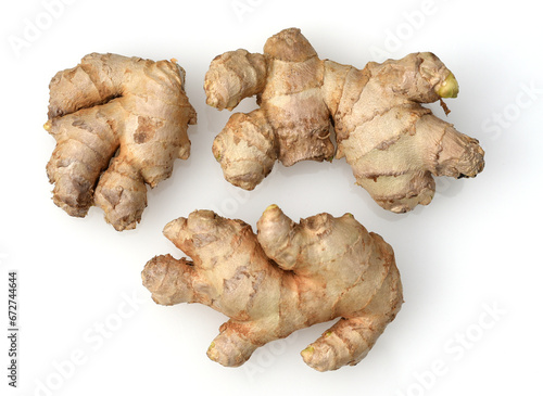 Ginger, Zingiber officinale