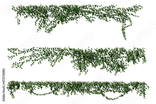 3d render ivy with transparent background photo