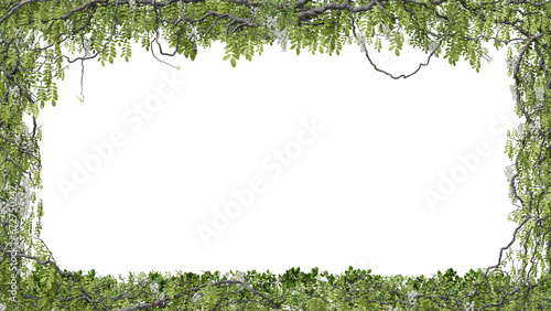 vine frame on a transparent background