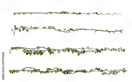 ivy plants isolated on transparent background 3d rendered