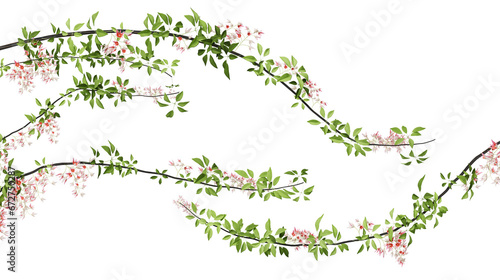 Beautiful curved pink flower vine on transparent background