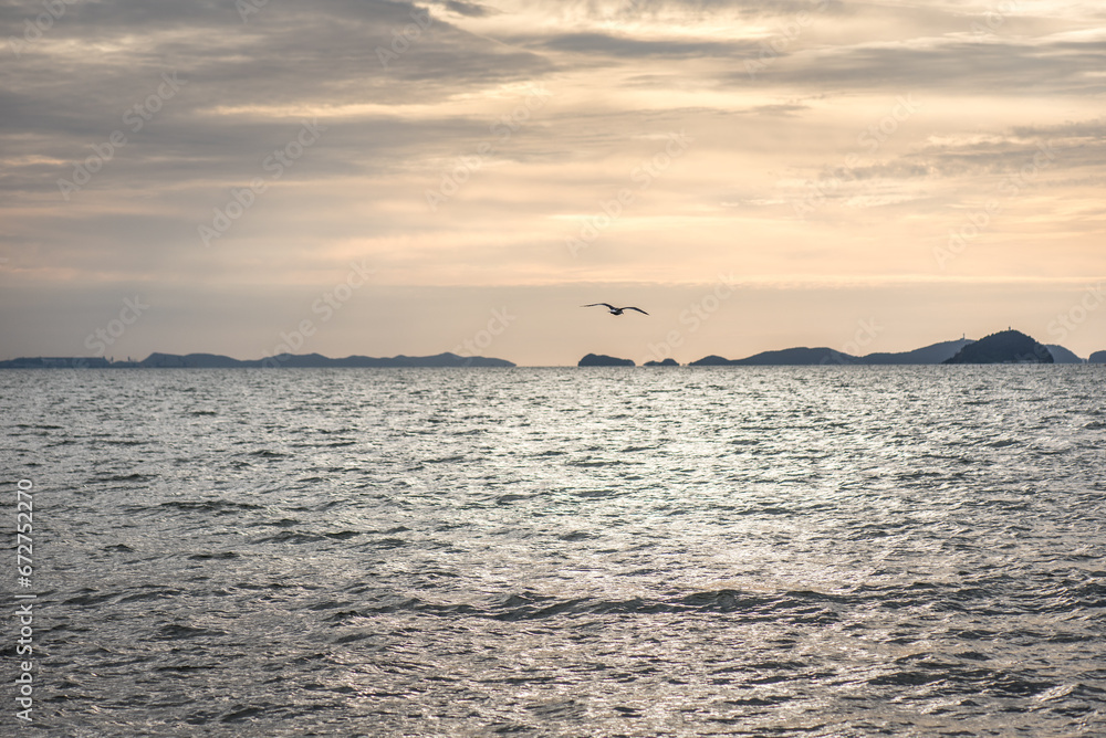 A landscape picture of seagulls in the sea in Korea A landscape picture of seagulls in the sea in Korea