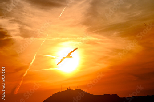 Gabbiano in volo  al tramonto al centro del disco solare grande basso sull'orizzonte.. Cielo di colore arancio co nuvole striate.