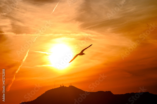 Gabbiano in volo  al tramonto contro il disco solare grande basso sull'orizzonte.. Cielo di colore arancio co nuvole striate. photo