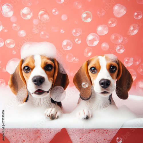 Happy Beagle Dog in bath with foam and bubbles. ai generative