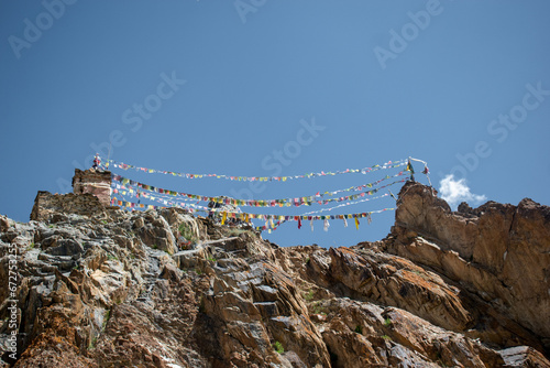 a group of colorful bungees on a mountain near a tree photo