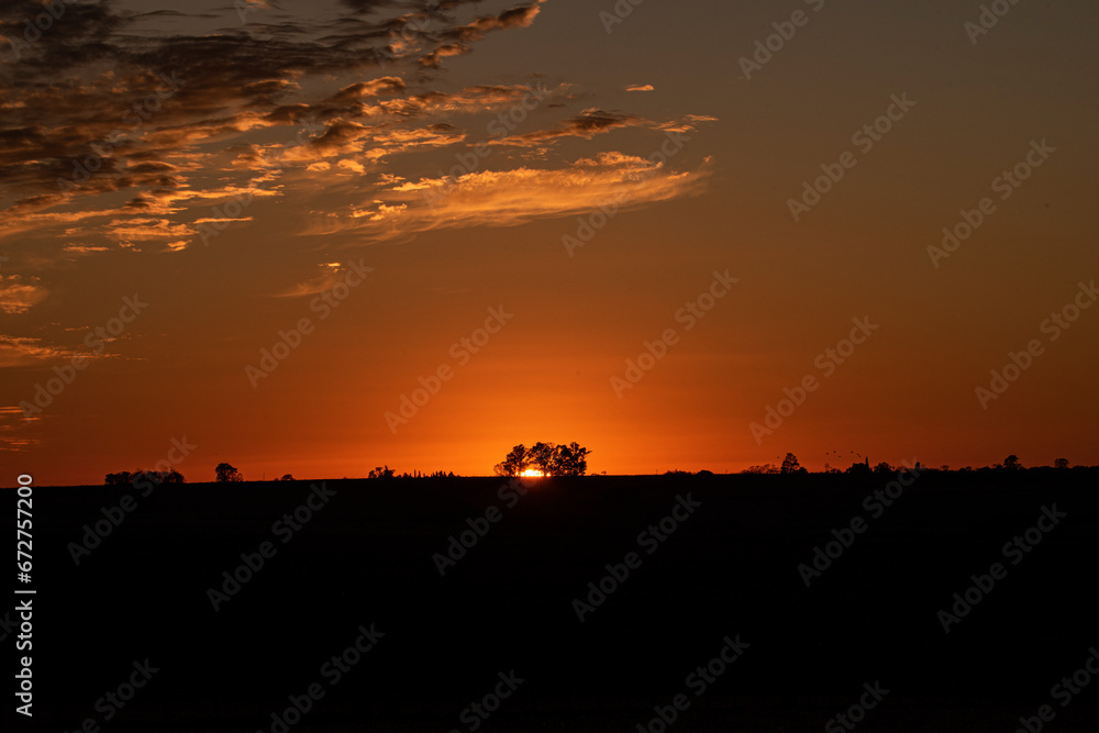 atardecer con arboles de fondo