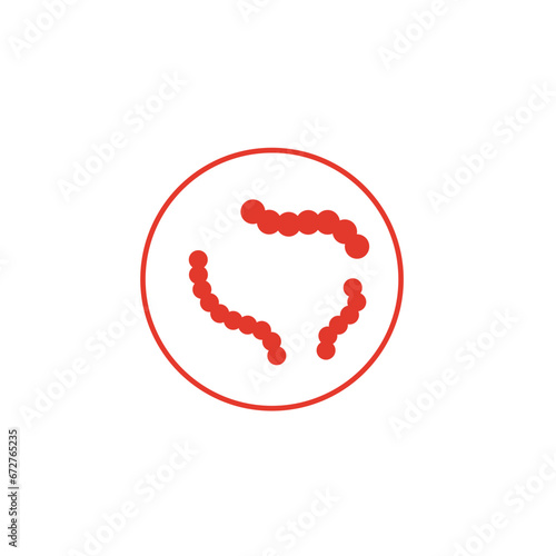 Streptococcus pyogenes illustration