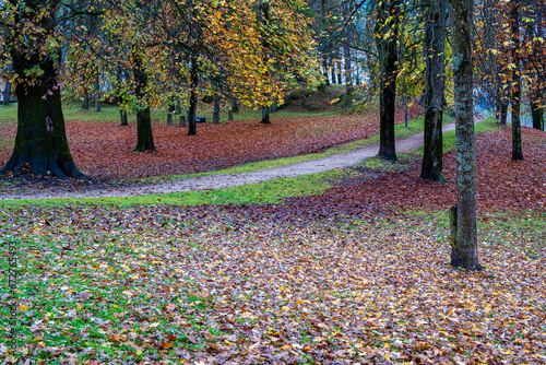 Foglie d'autunno nel parco di Cavalese, Trentino