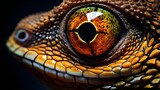 close up of a dragon eye