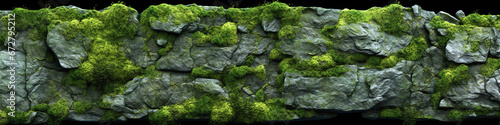 Mossy rock texture