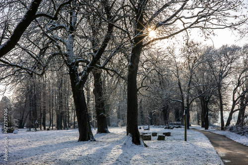 Snow on trees and ground in a park with a footpath in the sun in wintertime