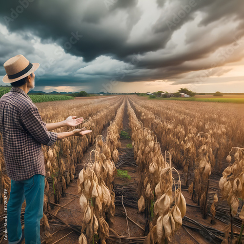 A farmer gestures at withered crops under a stormy sky