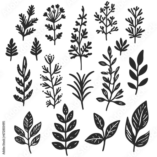 black Plant nature hand drawn set. Collection botanical element. vector on white background