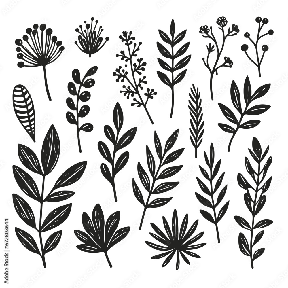 Fototapeta premium black Plant nature hand drawn set. Collection botanical element. vector on white background
