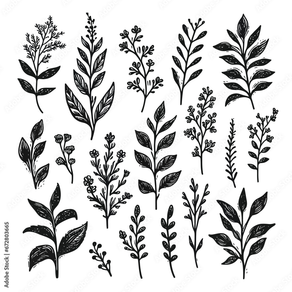 black Plant nature hand drawn set. Collection botanical element. vector on white background black Plant nature hand drawn set. Collection botanical element. vector on white background