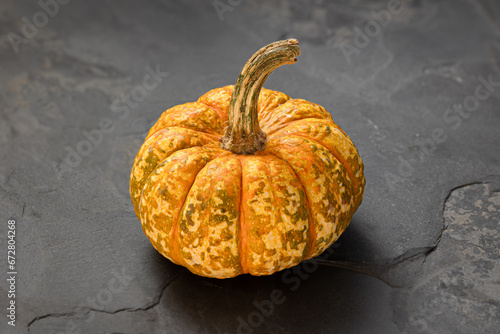 Yellow pumpkin on a grey slate background photo