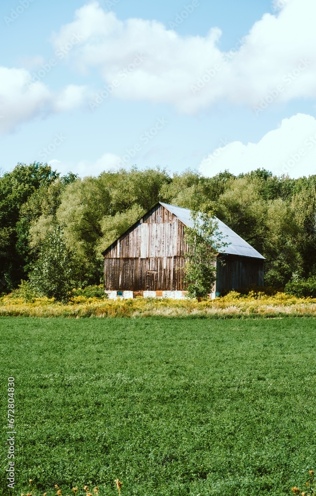 Idyllic rural landscape with an old red barn amongst tall, lush trees in a green field