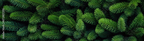 Christmas fir tree branch banner. Winter evergreen packed branches.