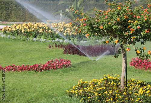 Fototapeta Naklejka Na Ścianę i Meble -  Automatic irrigation system of the flower garden with well-kept flowerbeds with flowers and tree