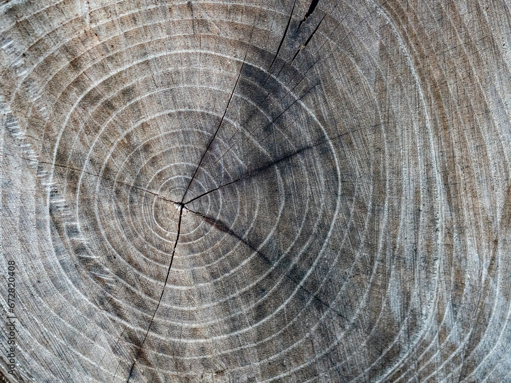 Naklejka premium Verwitterte Holztextur