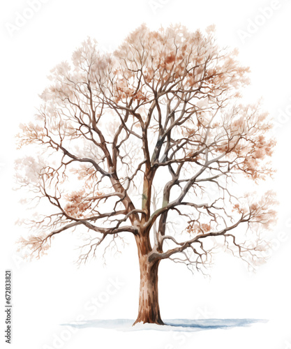 Winter Tree Sublimation Clipart with Watercolor  Transparent Background  transparent png  Created using generative AI