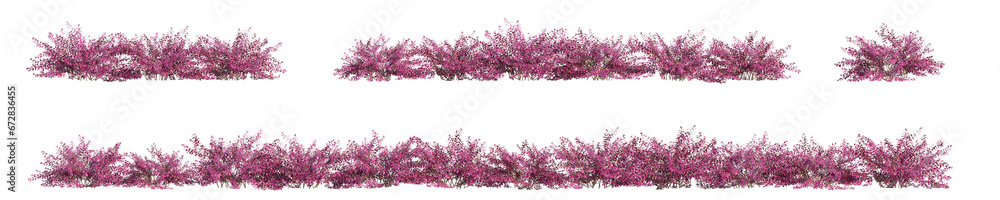 bush 3D rendering with transparent background, for illustration, digital composition, architecture visualization bush 3D rendering with transparent background, for illustration, digital composition, architecture visualization