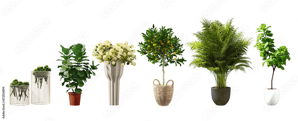 3d images of various types of plants in plant pots as a set. For interior work on white background with clipping path - obrazy, fototapety, plakaty 