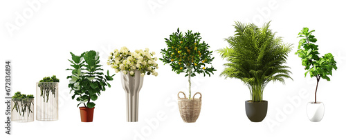 3d images of various types of plants in plant pots as a set. For interior work on white background with clipping path