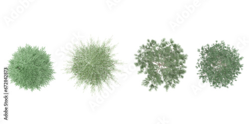 Εκτύπωση καμβά Deodar cedar,Spruce,Pinus sylvestris trees top view for landscape plan and archi