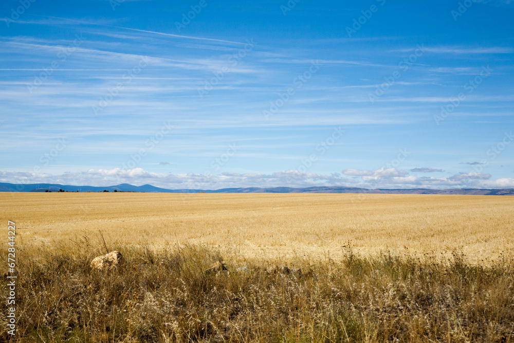 Castile and Leon region rural landscape, Spain