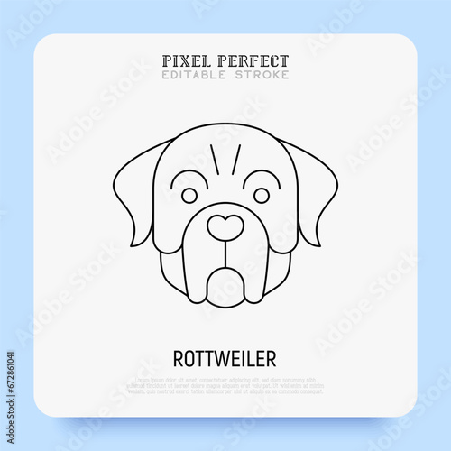 Rottweiler head thin line icon. Dog breed. Editable stroke. Vector illustration.
