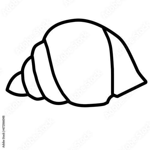 seashell line icon