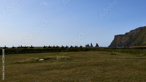 horse riding in front of Reynisdrangar in Vik, Iceland