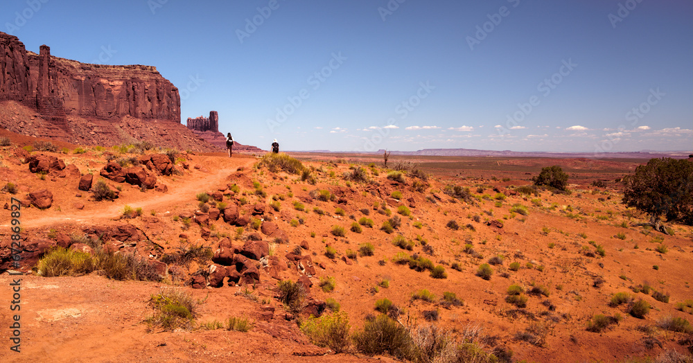 Monument Valley, desert and landscape (Arizona)