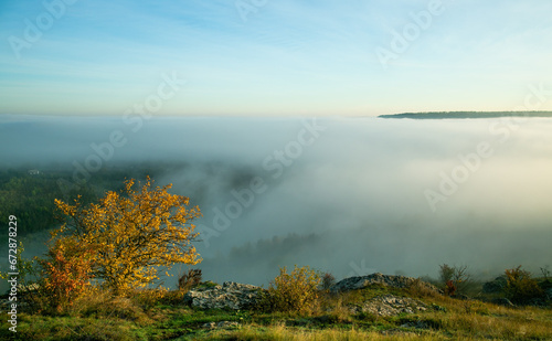 Fog in the mountains 