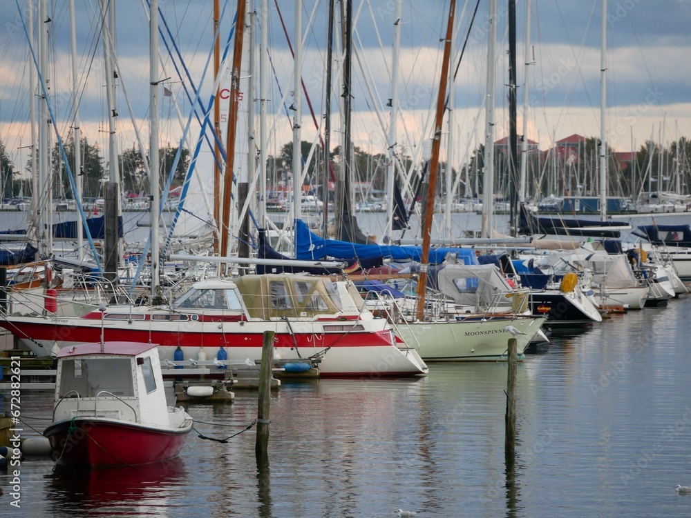 Sailboads in the Sailboads in the