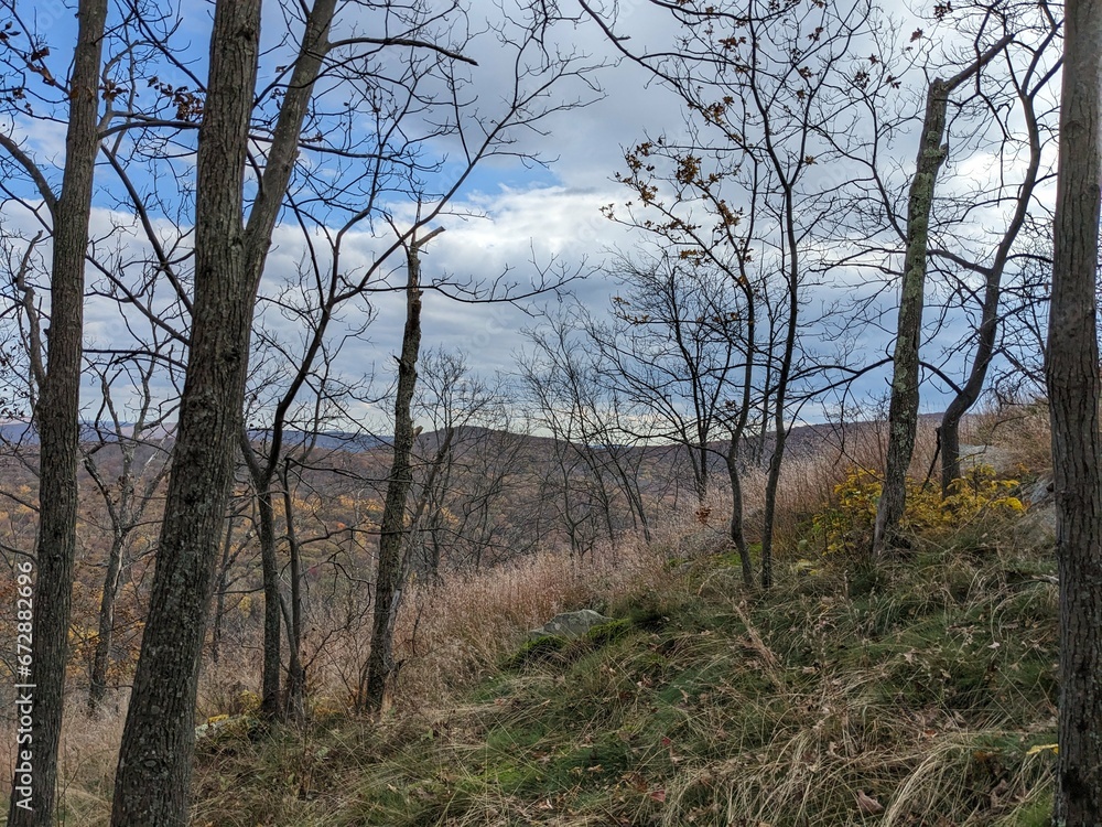 Foliage in Breakneck Ridge, Cold Spring, New York - October 2023 Foliage in Breakneck Ridge, Cold Spring, New York - October 2023