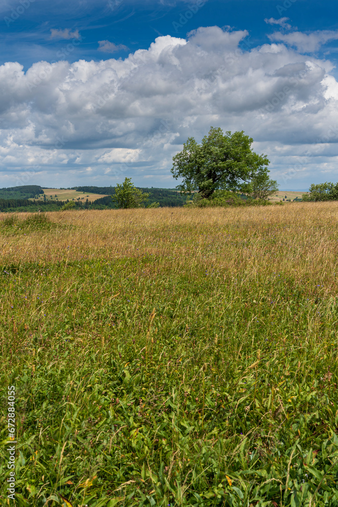 Fototapeta premium Rhönlandschaft am Heidelstein in der Langen Rhön, Biosphärenreservat Rhön, Bayern, Hessen, Deutschland.