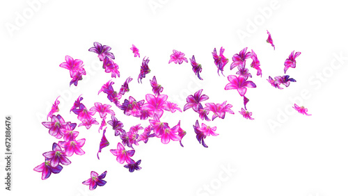 Petal and flowers flying on wind and falling in the air in spring season isolated on transparetn background photo