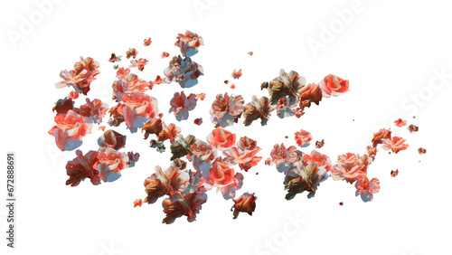 Fresh Rose blossom, beautiful rose flowers falling in the air isolated on transparent background. Levitation, spring flowers conception