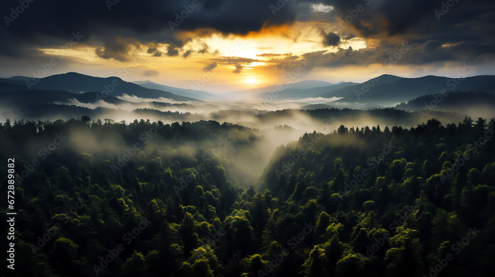 sunrise in the mountains forest