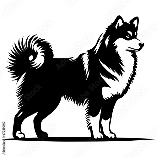 Yakutian Laika vector silhouette illustration black color