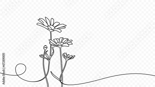 Continuous one line drawing of beautiful wild flowers chamomile vector design. Single line art illustration of nature landscape with beautiful field meadow flowers daisy on transparent background © artsterdam
