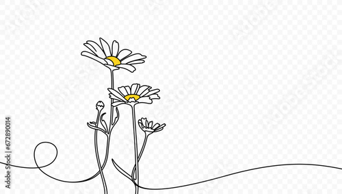 Continuous one line drawing of beautiful wild flowers chamomile vector design. Single line art illustration of nature landscape with beautiful field meadow flowers daisy on transparent background