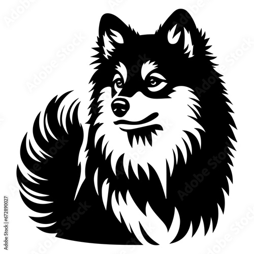 Yakutian Laika vector silhouette illustration black color