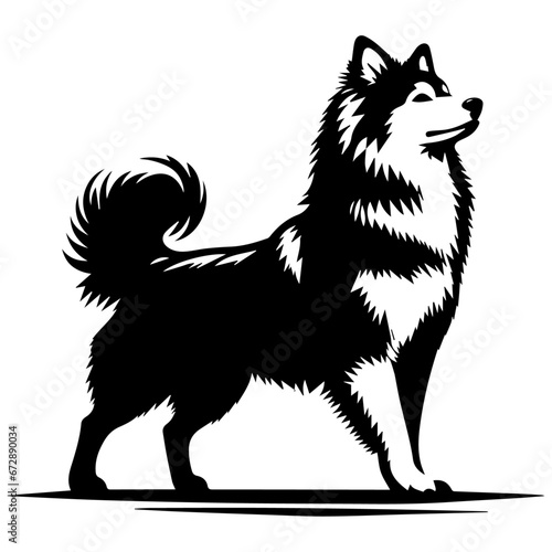 Yakutian Laika vector silhouette illustration black color