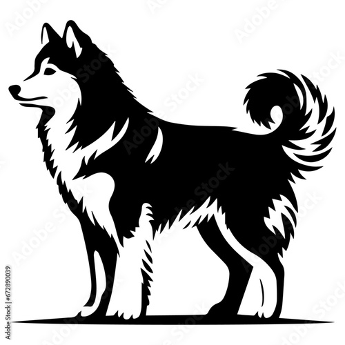 Yakutian Laika vector silhouette illustration black color